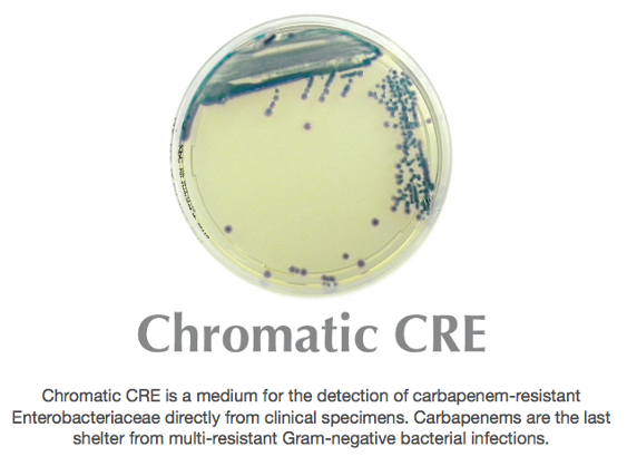 CRE Reliable Mock Test